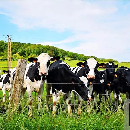 Cosy Normandy - 03 Bois-Jerome-Saint-Ouen